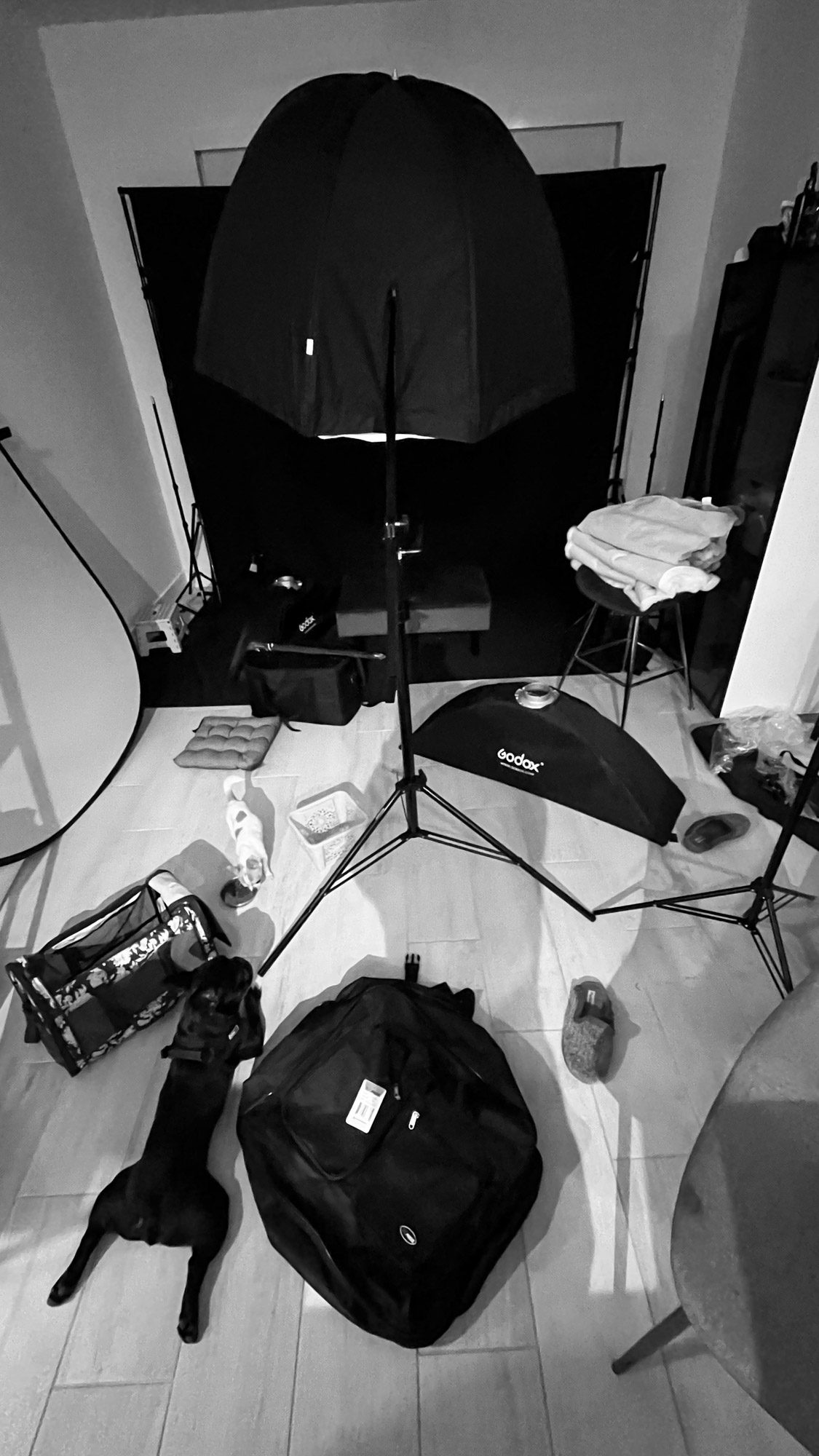 bts-11